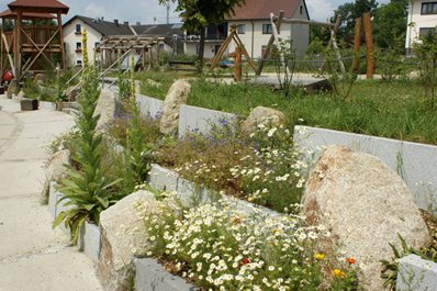 Wildblumen an der Trockenmauer