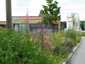 10-BAV-RI_Blumen_2014-04