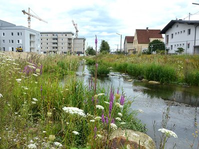 Naturnahes Gerinne