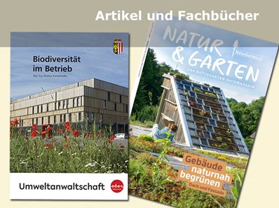 Artikel-und-Fachbucher