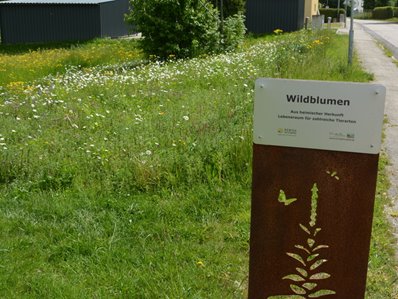 Wildblumen