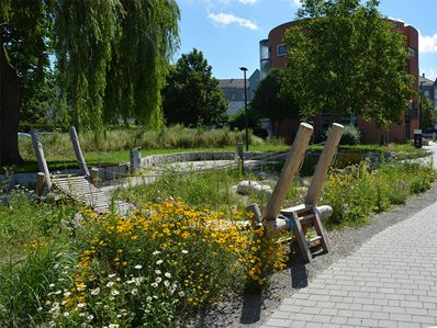 Üppige Blumen