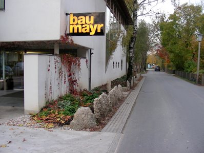 baumayr 081031-3